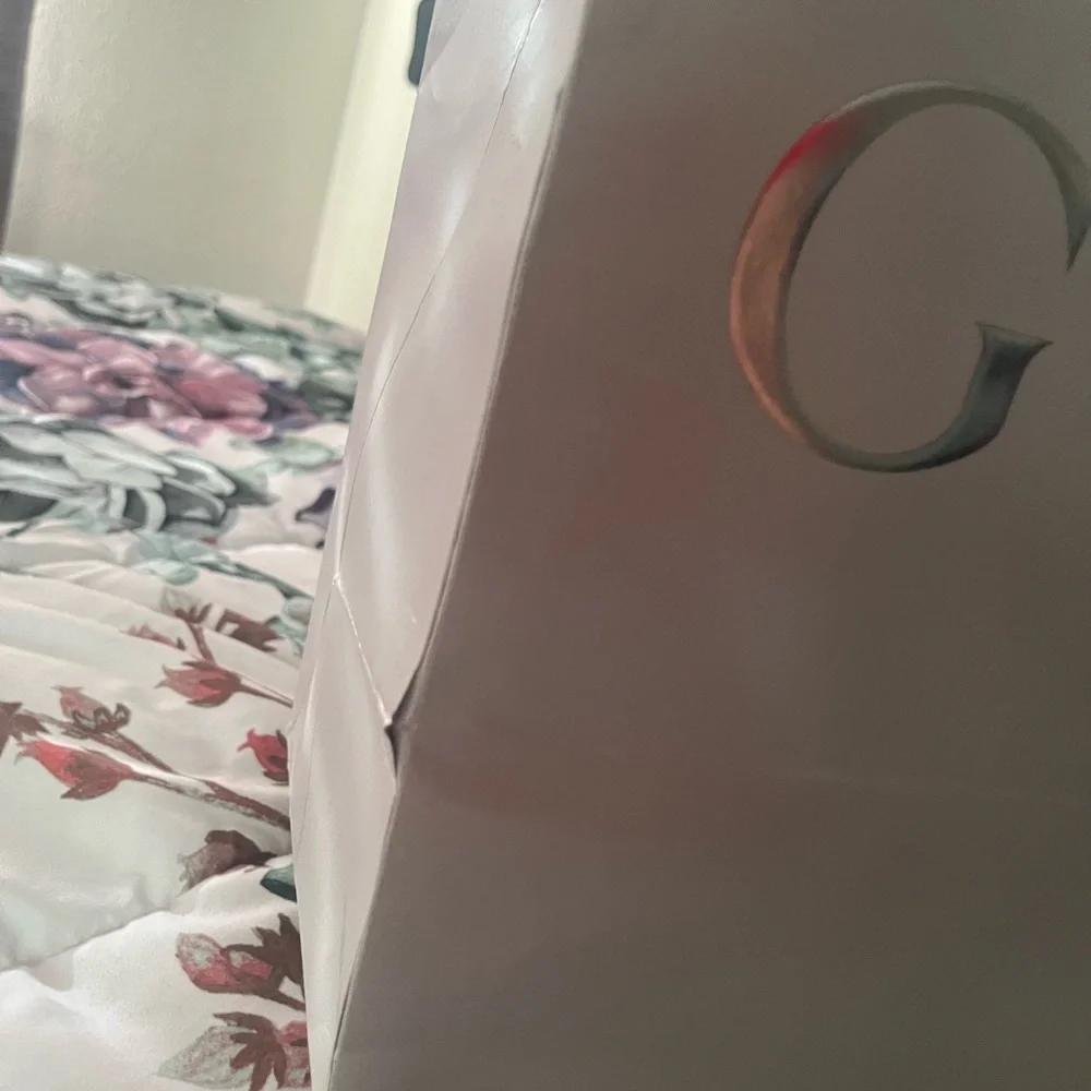 Gucci equilibrium large